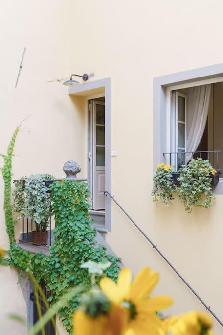 Corte Paolina - Charming Courtyard Inside Лукка Экстерьер фото